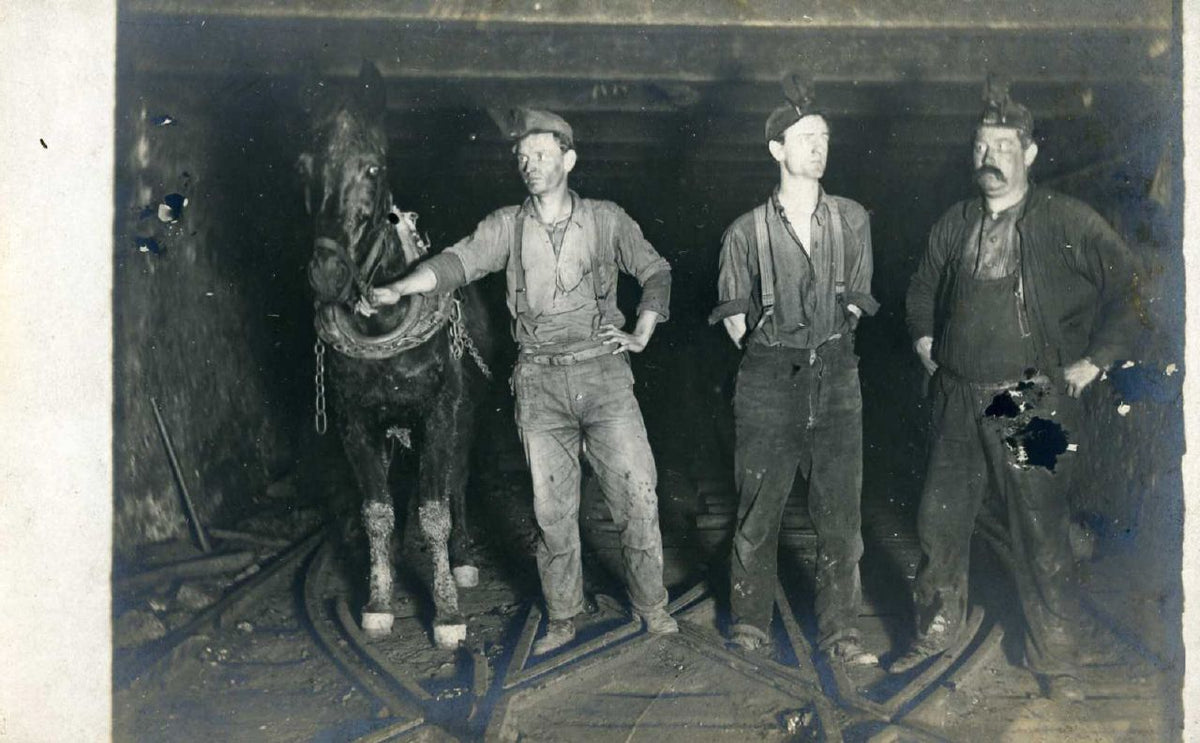 Three coal miners and a mule - Janet Lindenmuth from Wilmington, Delaware, USA, CC BY-SA 4.0 <https://creativecommons.org/licenses/by-sa/4.0>, via Wikimedia Commons